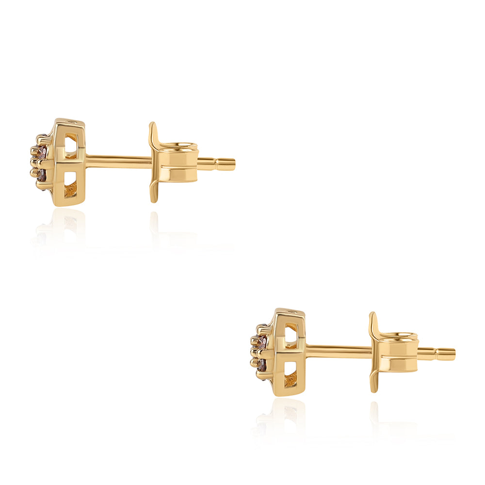 Brincos de Prata com Banho de Ouro com Diamante Vermelho