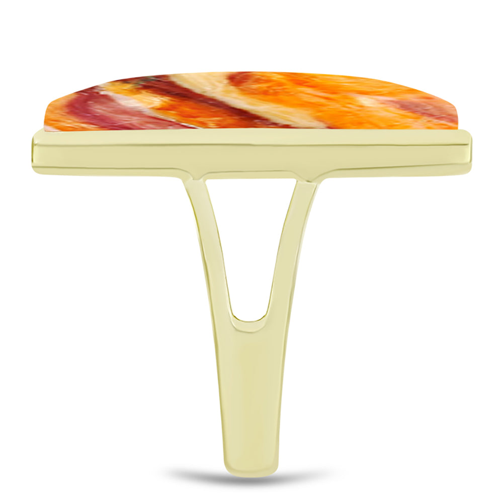 Anel de Prata com Banho de Ouro com Concha Pata de Leões Contraste: Cabeca de Veado (800)