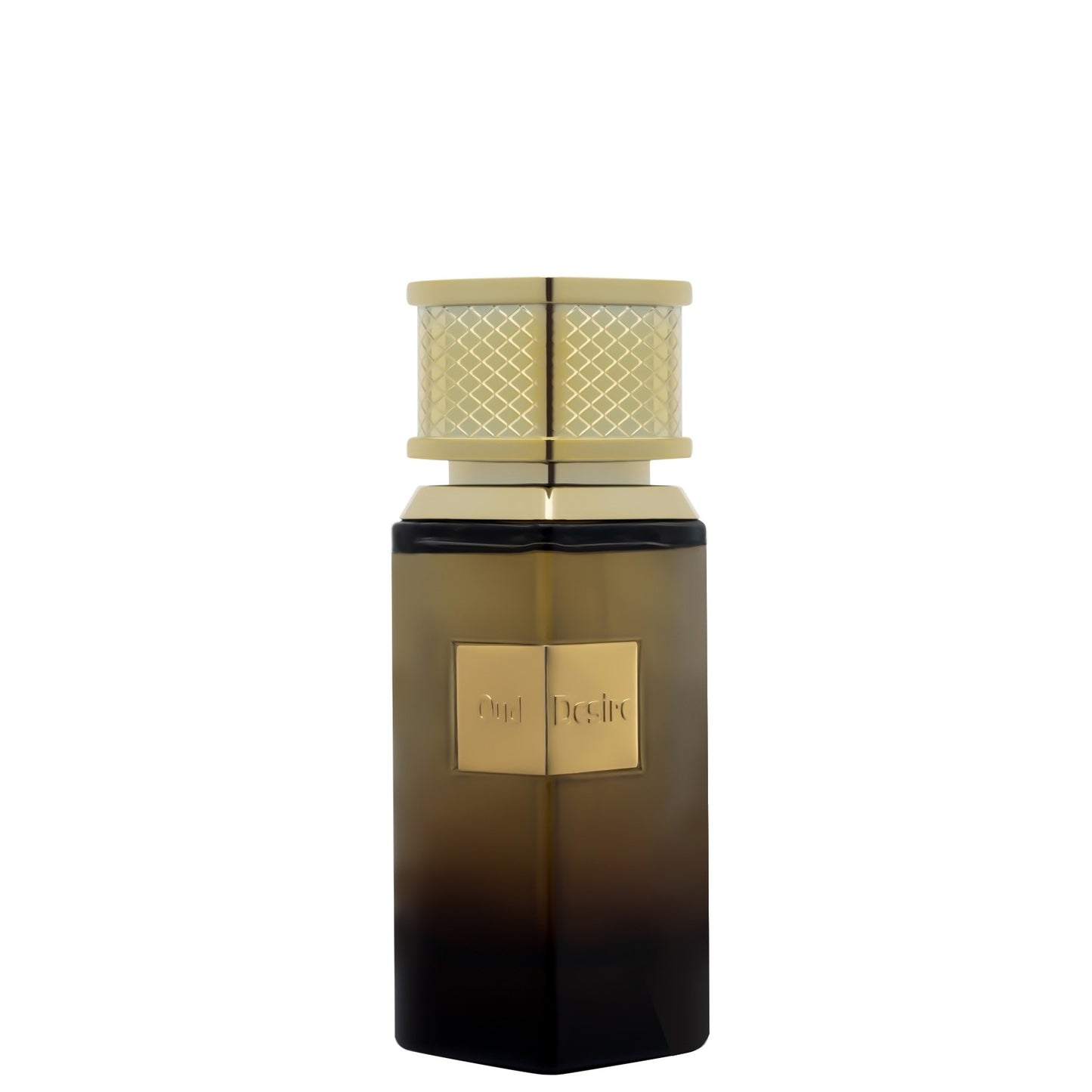 100 ml de Eau de Perfume Oud Desire Fragrância Floral Frutada Amadeirada para Homens