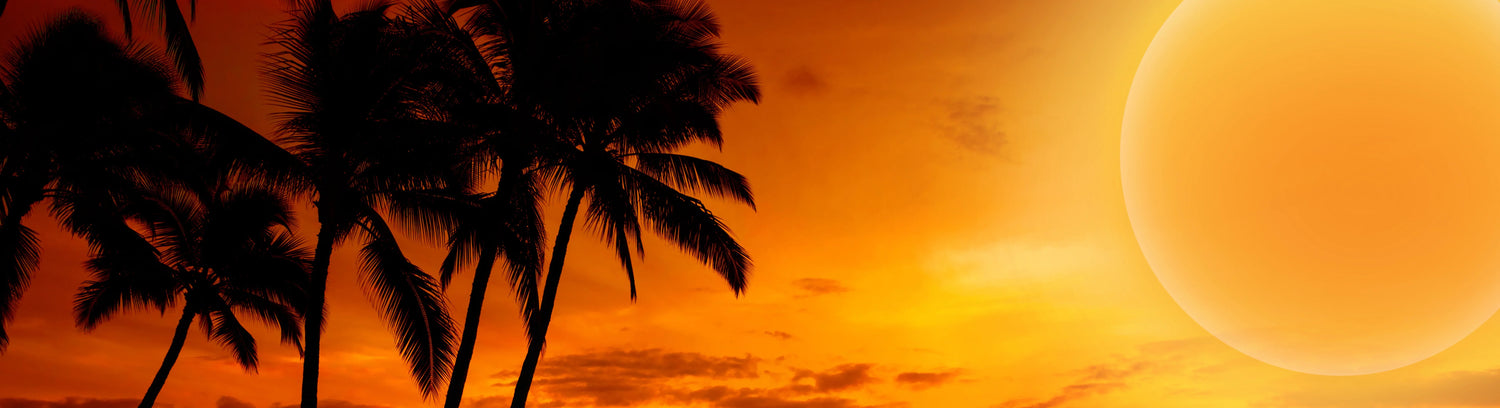 -30% EXTRA🔥 Coleção do pôr do sol 🌞