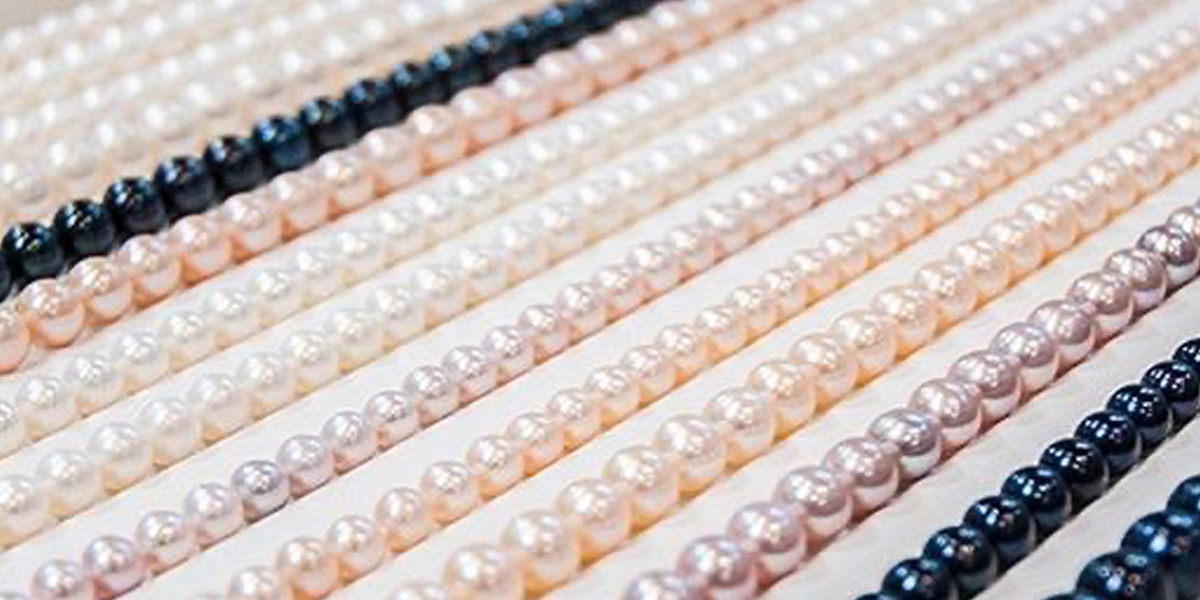 Coleção Gaura Pearls