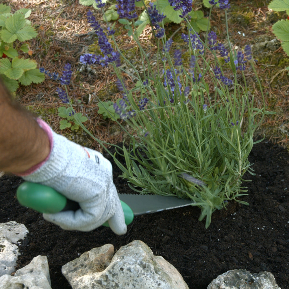 STARLYF- Pá de jardim multifuncional com lâmina para cortar raízes 7 