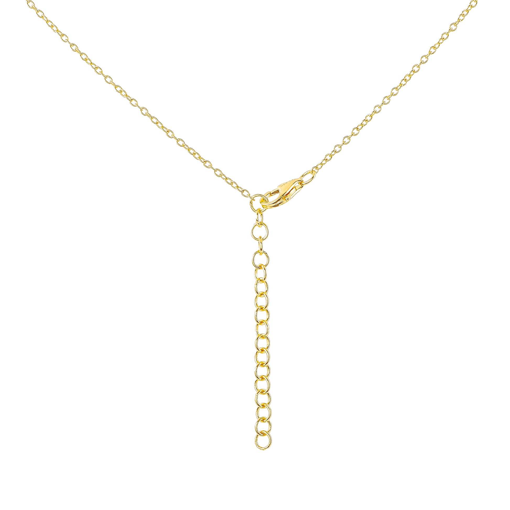 Colar de Prata com Banho de Ouro com Concha Abalone  Contraste: Cabeca de Veado (800) 2 