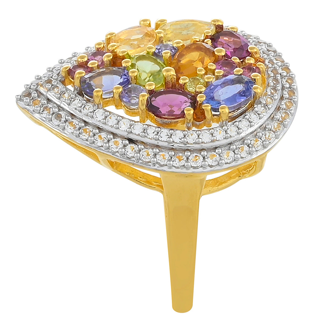 Anel de Prata com Banho de Ouro com Tanzanite e Granada de Rhodolite  Contraste: Cabeca de Veado (800)