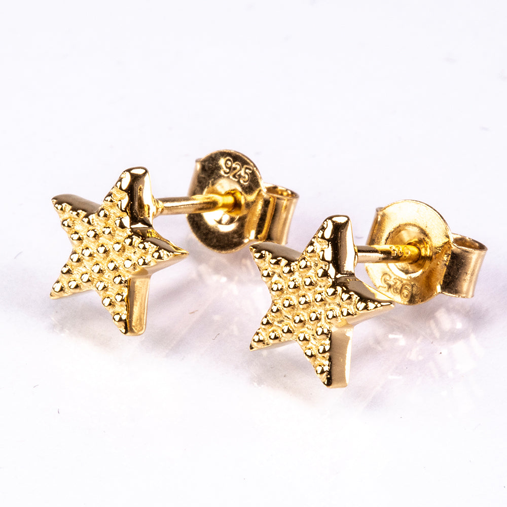 Brincos de Prata com Banho de Ouro 1 