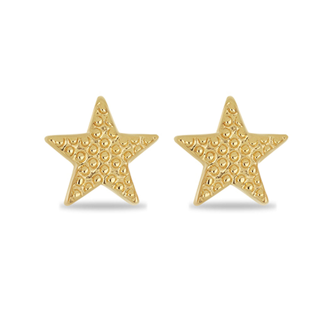 Brincos de Prata com Banho de Ouro 2 