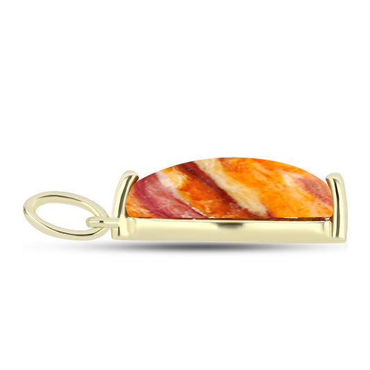 Pendente de Prata com Banho de Ouro com Concha Pata de Leões
