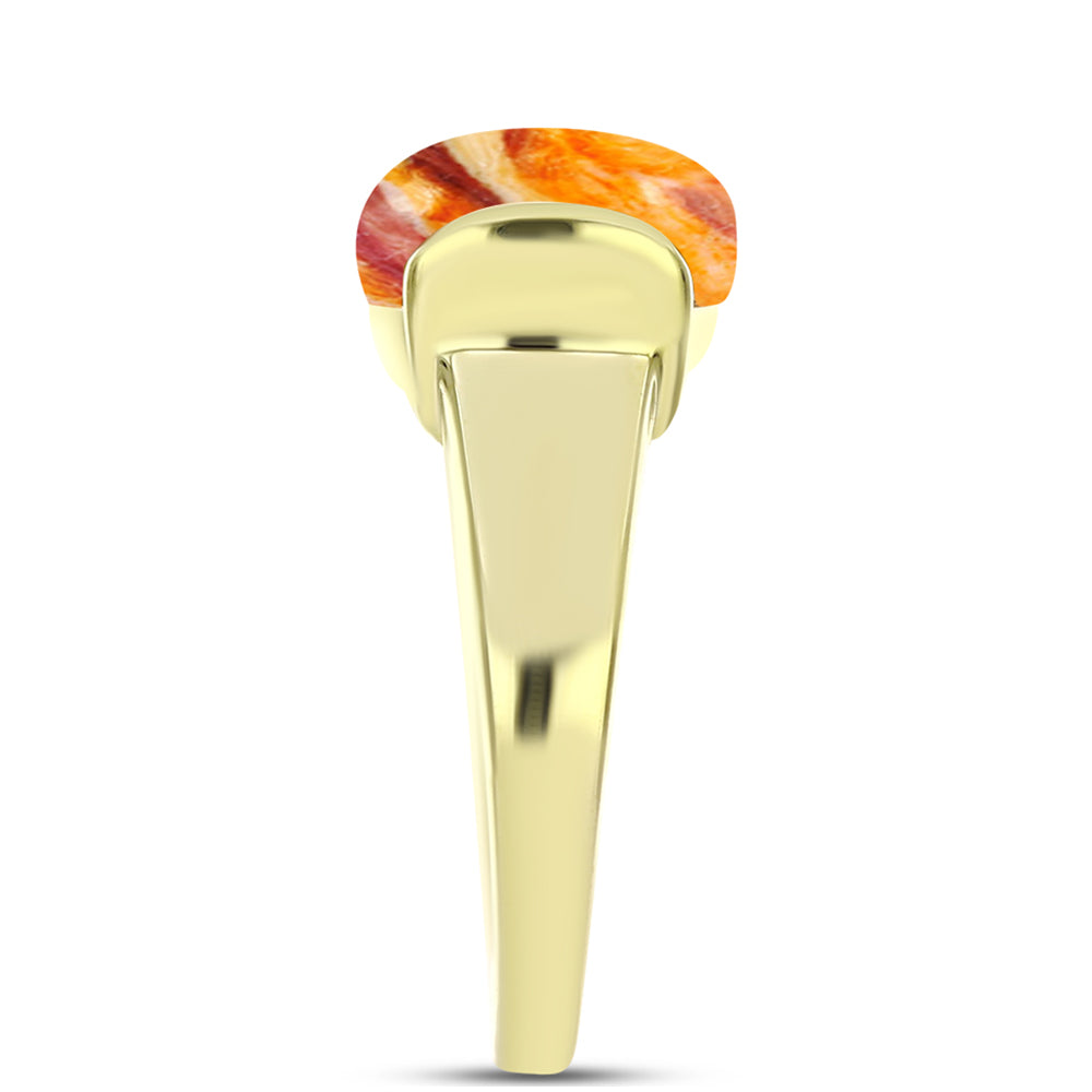 Anel de Prata com Banho de Ouro com Concha Pata de Leões  Contraste: Cabeca de Veado (800) 4 