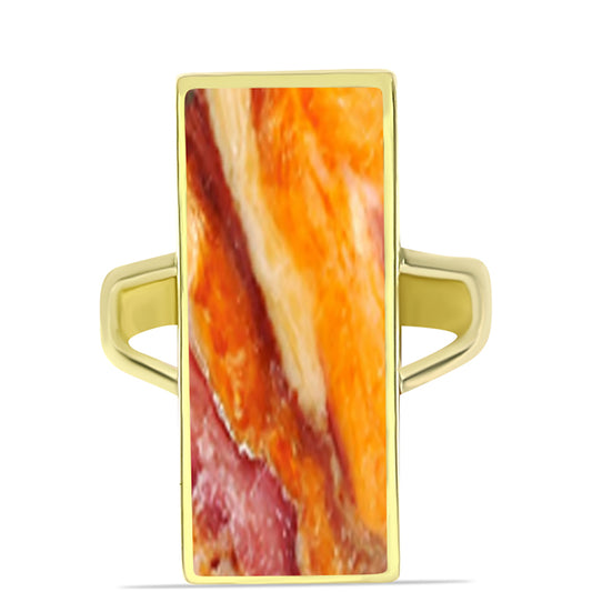 Anel de Prata com Banho de Ouro com Concha Pata de Leões  Contraste: Cabeca de Veado (800)
