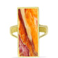 Anel de Prata com Banho de Ouro com Concha Pata de Leões  Contraste: Cabeca de Veado (800)