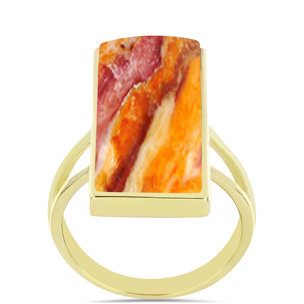 Anel de Prata com Banho de Ouro com Concha Pata de Leões  Contraste: Cabeca de Veado (800)